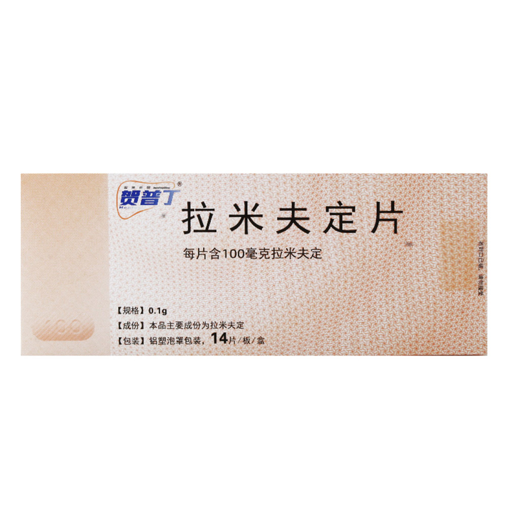 拉米夫定片（贺普丁）