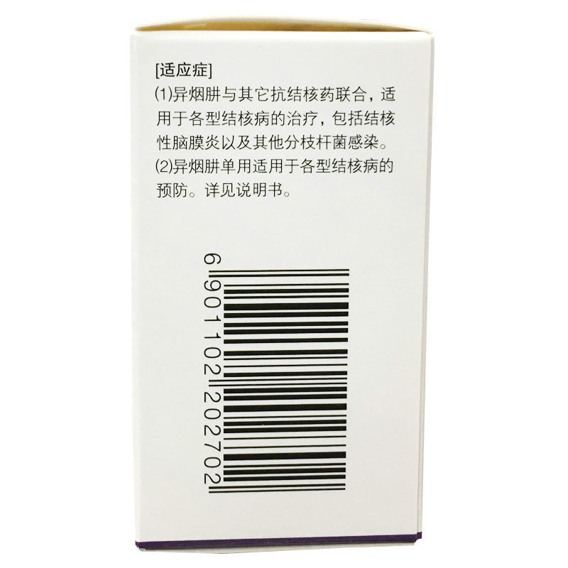异烟肼片(民生)