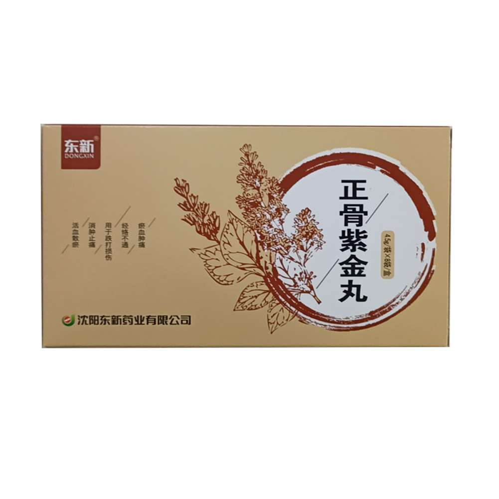 正骨紫金丸(东新)