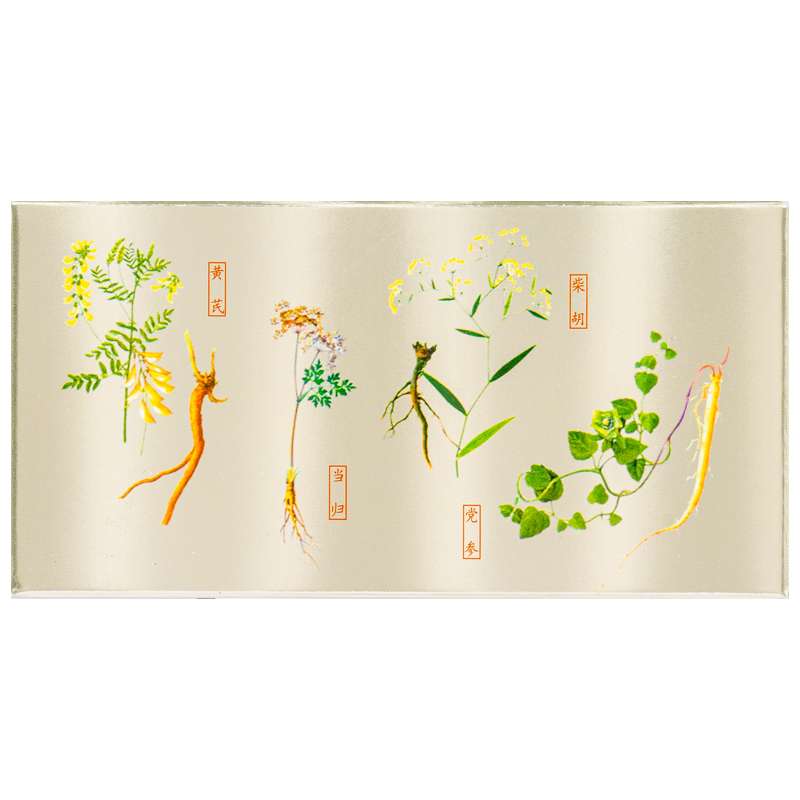 补中益气丸(仲景)